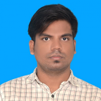 Dinesh Ravichandran-Freelancer in ,India