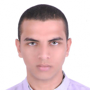Mahmoud Gamal-Freelancer in Cairo,Egypt