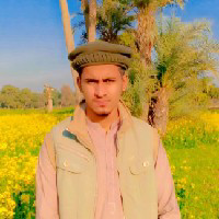 Umar Nafees-Freelancer in Multan,Pakistan