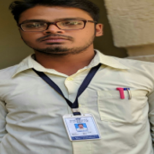 Saroj Patel-Freelancer in Raipurchhattisgarh ,India