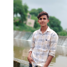 Vishnu Pargi-Freelancer in Godhra,India