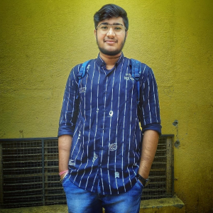 Arayan Bhilware-Freelancer in Dombivli,India