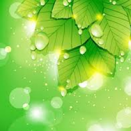 Lubna Hameed-Freelancer in Karachi,Pakistan