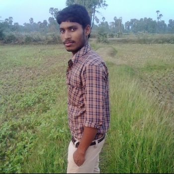 Gowrinaidu Dasari-Freelancer in Tadepalligudem,India