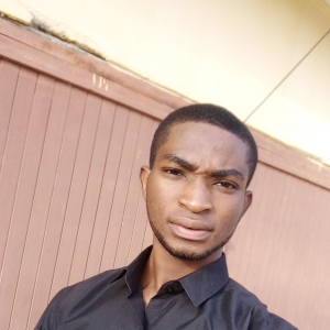 Lukman Olatunji-Freelancer in Ile Ife,Nigeria