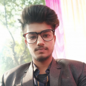 Vivek Shukla-Freelancer in ,India