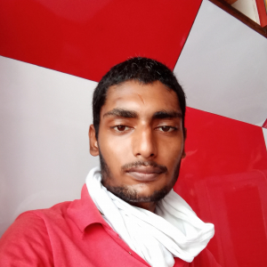 Aayush Kumar Rohila-Freelancer in Khera mastan,India