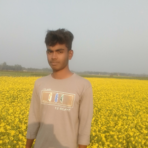 Md. Abdul-Freelancer in Dhaka,Bangladesh