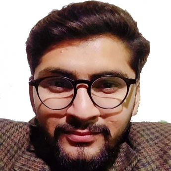 Labeeque Sarwar-Freelancer in ,Pakistan