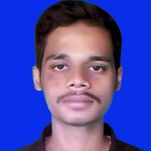 Md Mehedi Hasan-Freelancer in Rajshahi,Bangladesh