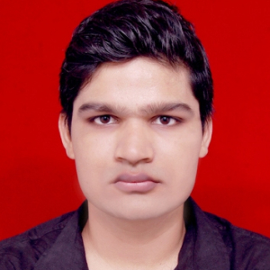 Avinash Mehra-Freelancer in BIKANER,India