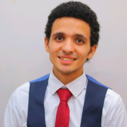 Ayman Tawfik-Freelancer in Suez,Egypt