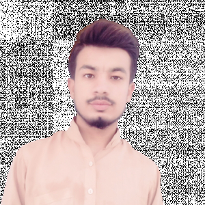 Malik Asad-Freelancer in ,Pakistan