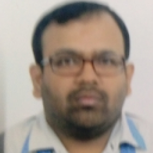 Syed Hussain-Freelancer in Bengaluru,India