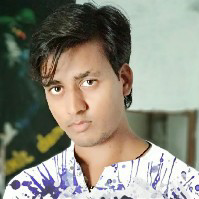 Prashant Raikwar-Freelancer in ,India