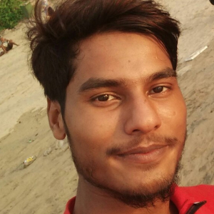 Imtiyaz Ahmad-Freelancer in SIDDHARTHNAGAR,India