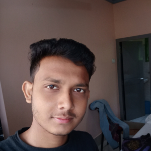 Rupak Pramaik-Freelancer in ,India