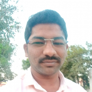 Praveen Kumar-Freelancer in Anantapur,India