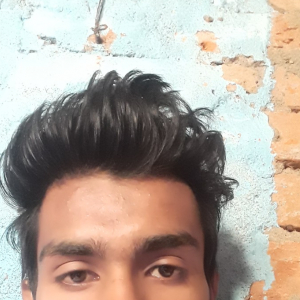 Md Amir-Freelancer in ,India