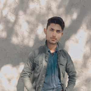Sorabh arya-Freelancer in Panipat,India