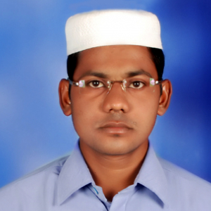 Meer Hussain-Freelancer in Atmakur,India