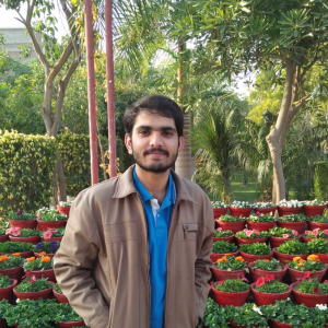Tahir Alig-Freelancer in Karachi,Pakistan