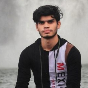 Vinay Ratnam Tandan-Freelancer in ,India