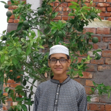 Mezbaul Hasan-Freelancer in Rajshahi,Bangladesh