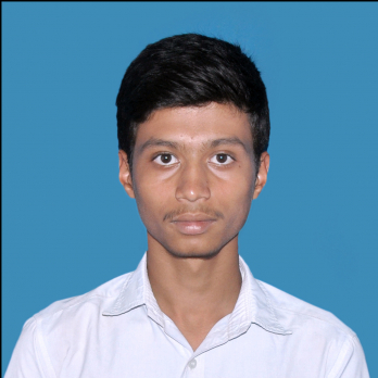Avijit Maity-Freelancer in Durgapur,India