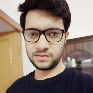 Puneet Singh-Freelancer in New Delhi,India
