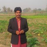 Wasim Sipra-Freelancer in Bahawalpur,Pakistan
