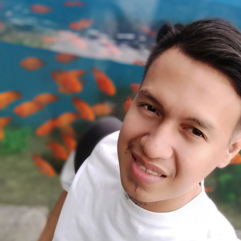 Michael Gemperoso-Freelancer in Cebu City,Philippines