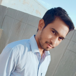 Bhupendra Kumar-Freelancer in ,India