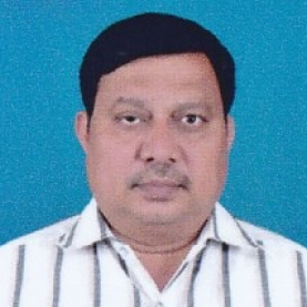 Mirza Jafarhussain-Freelancer in Nandyal,India