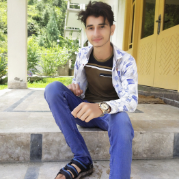 Shahri Raja-Freelancer in Azad Kashmir,Pakistan