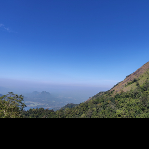 Xynthia-Freelancer in ,India