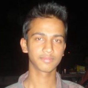 Himanshu Mittal-Freelancer in ,India