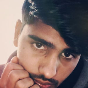 Naresh Kumar-Freelancer in Saran Ka Khera,India