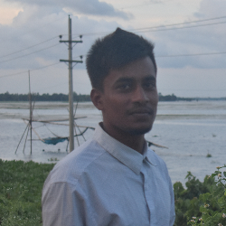 Hamidul Islam-Freelancer in Dhaka,Bangladesh