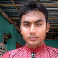 Anowar Hossain Bijoy-Freelancer in ,Bangladesh