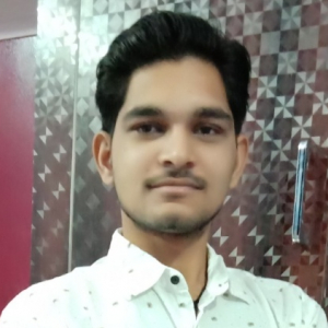 Ankit Parihar-Freelancer in Agra,India