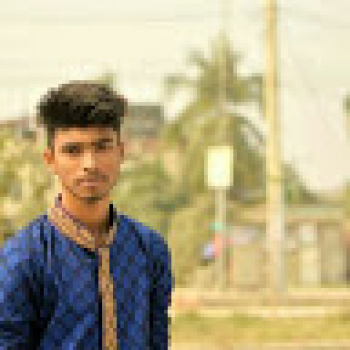 Saiful Islam Mridha-Freelancer in Dhaka ,Bangladesh