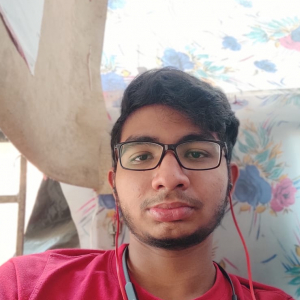 Ajay Chollangi-Freelancer in ,India