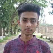 Tarequl Islam Khan-Freelancer in Comilla,Bangladesh