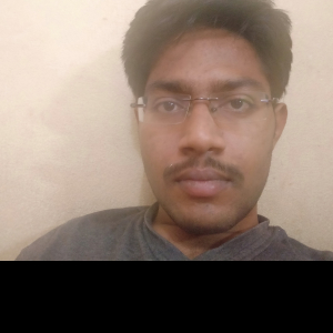 Narendra Reddy-Freelancer in ,India