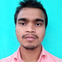 Sanjay Mahato-Freelancer in Mahottari,India