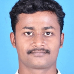 Vigneshwaran A-Freelancer in Chennai,India