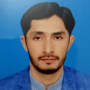 Syed Arif Hussain Shah-Freelancer in Rawalpindi,Pakistan