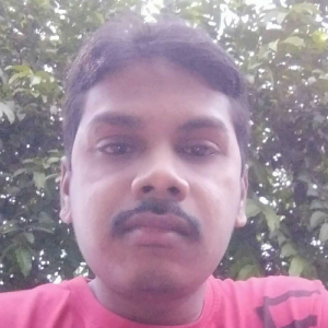 Manoj Kumar Singh-Freelancer in Angul,India