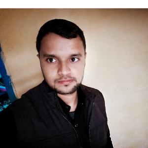 Ashish Verma-Freelancer in Agra,India